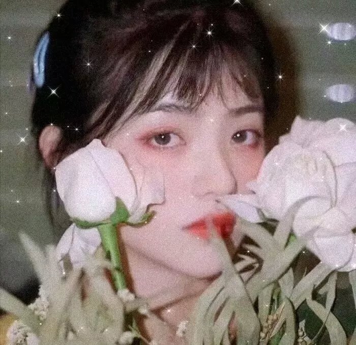 护照海报